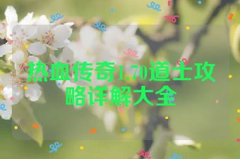 热血传奇1.70道士攻略详解大全