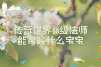 传奇世界46级法师能召唤什么宝宝
