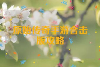 原始传奇手游合击版攻略