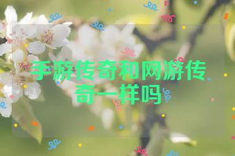 手游传奇和网游传奇一样吗