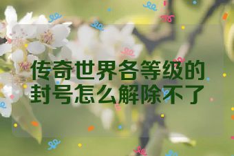 传奇世界各等级的封号怎么解除不了