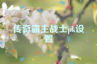 传奇霸主战士pk设置