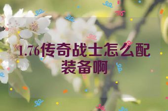 1.76传奇战士怎么配装备啊