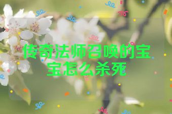 传奇法师召唤的宝宝怎么杀死