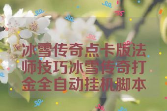 冰雪传奇点卡版法师技巧冰雪传奇打金全自动挂机脚本
