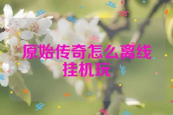 原始传奇怎么离线挂机玩