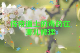 传奇道士的毒药在哪儿修理