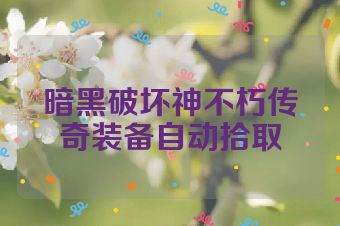 暗黑破坏神不朽传奇装备自动拾取