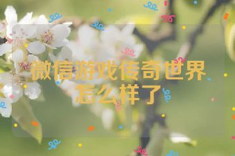 微信游戏传奇世界怎么样了