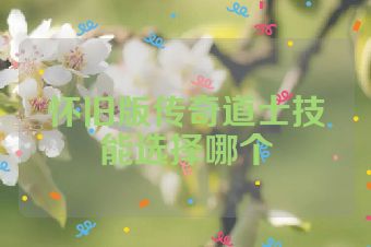 怀旧版传奇道士技能选择哪个
