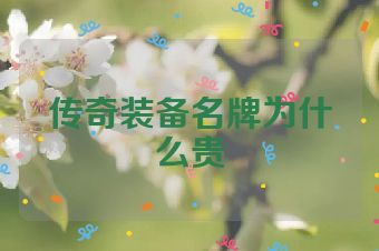 传奇装备名牌为什么贵