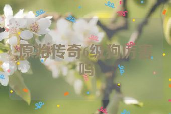 原始传奇6级狗厉害吗