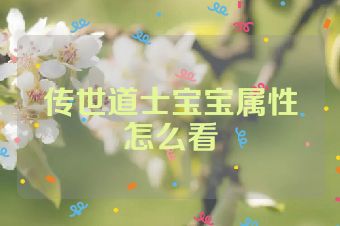 传世道士宝宝属性怎么看