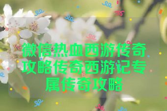 微信热血西游传奇攻略传奇西游记专属传奇攻略