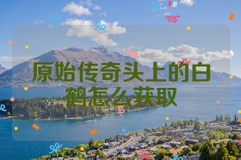 原始传奇头上的白鹤怎么获取