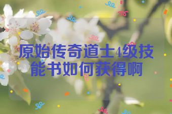 原始传奇道士4级技能书如何获得啊