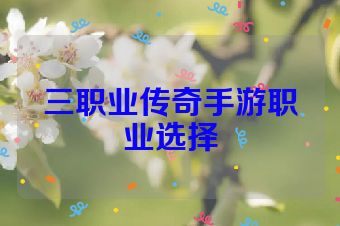 三职业传奇手游职业选择