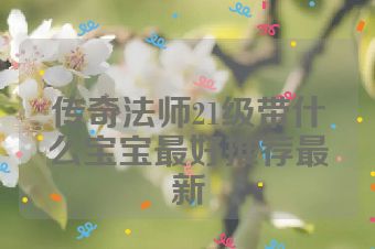 传奇法师21级带什么宝宝最好推荐最新
