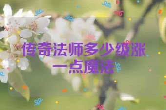 传奇法师多少级涨一点魔法
