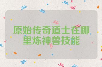 原始传奇道士在哪里炼神兽技能
