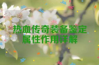 热血传奇装备鉴定属性作用详解