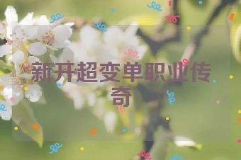 新开超变单职业传奇