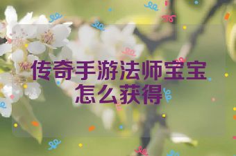 传奇手游法师宝宝怎么获得