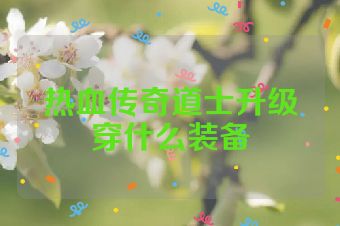 热血传奇道士升级穿什么装备