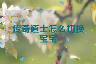 传奇道士怎么切换宝宝