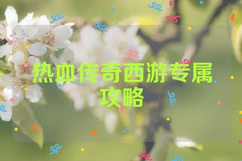 热血传奇西游专属攻略