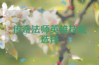 传奇法师英雄技能选择