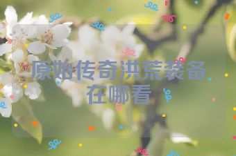 原始传奇洪荒装备在哪看