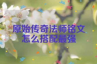 原始传奇法师铭文怎么搭配最强
