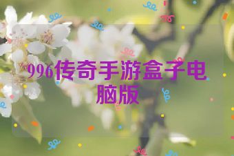 996传奇手游盒子电脑版