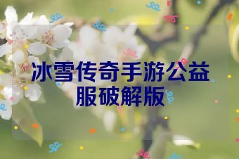 冰雪传奇手游公益服破解版