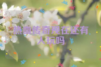 热血传奇现在还有人玩吗