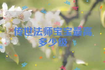 传世法师宝宝最高多少级