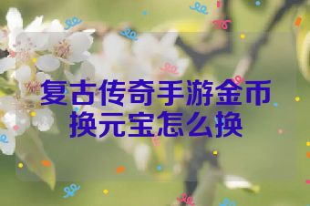 复古传奇手游金币换元宝怎么换