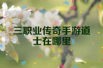 三职业传奇手游道士在哪里