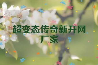 超变态传奇新开网厂家