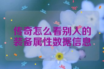传奇怎么看别人的装备属性数据信息