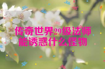 传奇世界29级法师能诱惑什么怪物