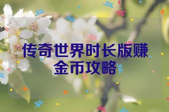 传奇世界时长版赚金币攻略