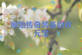 原始传奇装备回收元宝