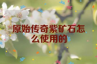 原始传奇紫矿石怎么使用的
