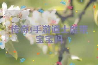 传奇4手游道士能带宝宝吗