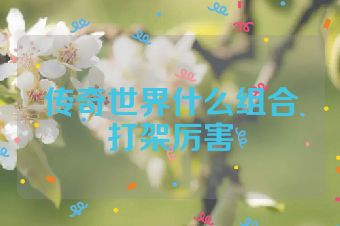 传奇世界什么组合打架厉害