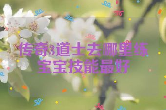 传奇3道士去哪里练宝宝技能最好