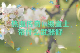 热血传奇16级道士带什么武器好