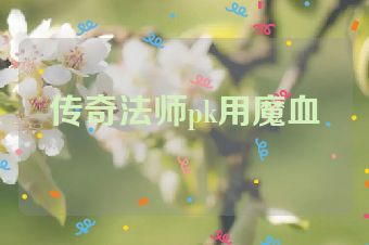 传奇法师pk用魔血